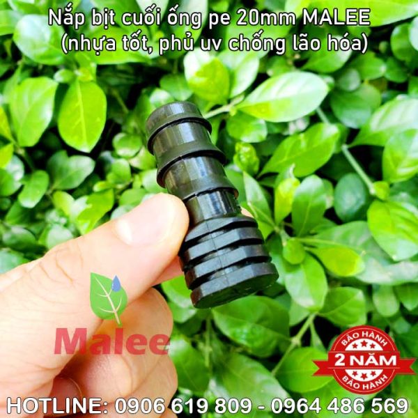 Bịt ống 20mm Malee