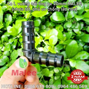 Co vuông ống 20mm Malee