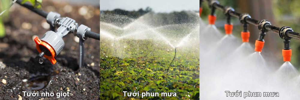 hệ thống tưới nhỏ giọt phun mưa phun sương