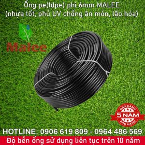 Ống tưới cây ldpe phi 6mm Malee thái lan (Mua lẻ 3k/mét, mua 100m giá 250k, 1 cuộn 200m giá 400k)