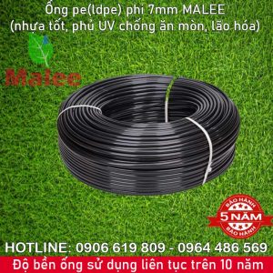 Ống tưới cây ldpe phi 7mm Malee thái lan (Mua lẻ 3.5k/mét, mua 100m giá 300k, 1 cuộn 200m giá 500k)