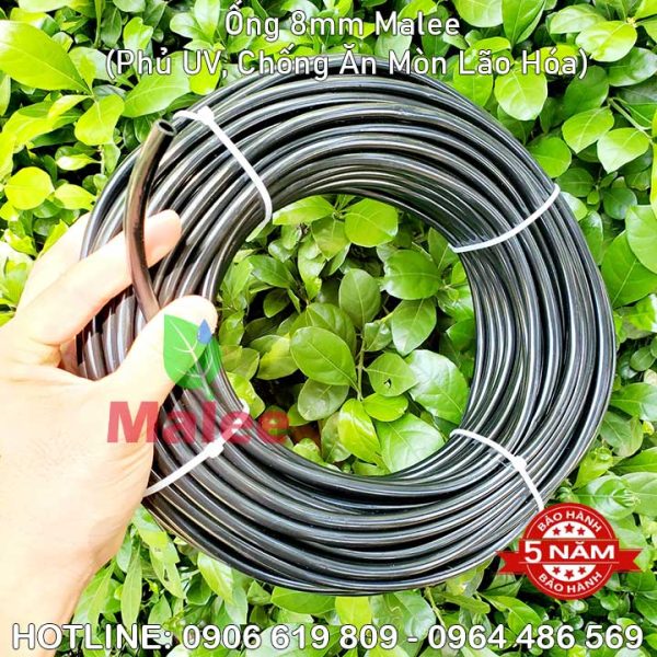 Ống tưới cây phun sương phi 8mm Malee thái lan