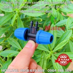 Tê nối ống 12mm giảm 2 nhánh ống 6mm Malee (Khóa siết chống bung chống sì nước)